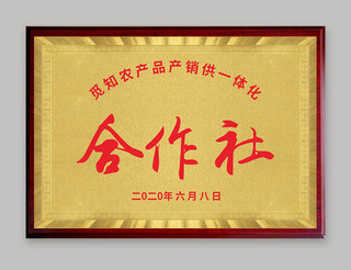 金色简约中国供销合作社企业铜牌